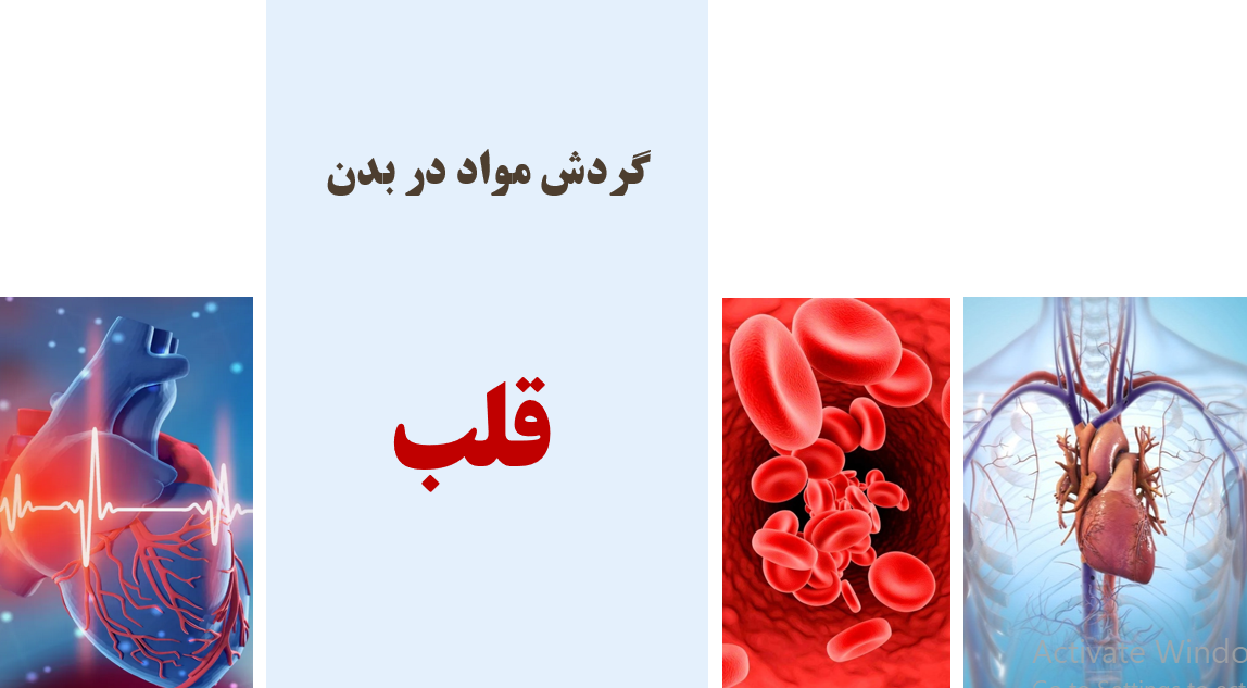 گردش مواد در بدن - قلب